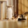 Cat Corner Brush view 3