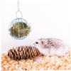 Happyyami Multifunctional Grass Feeder, 2-Pack, Hanging Grass Holder for Pet Hamster Cages, Space-Saving Design view 4