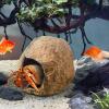 Resin Rock Cave Magnetic Reptile Hide view 3