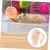 Happyyami Fish-Shaped Salt Lick Block for Small Pets view 2