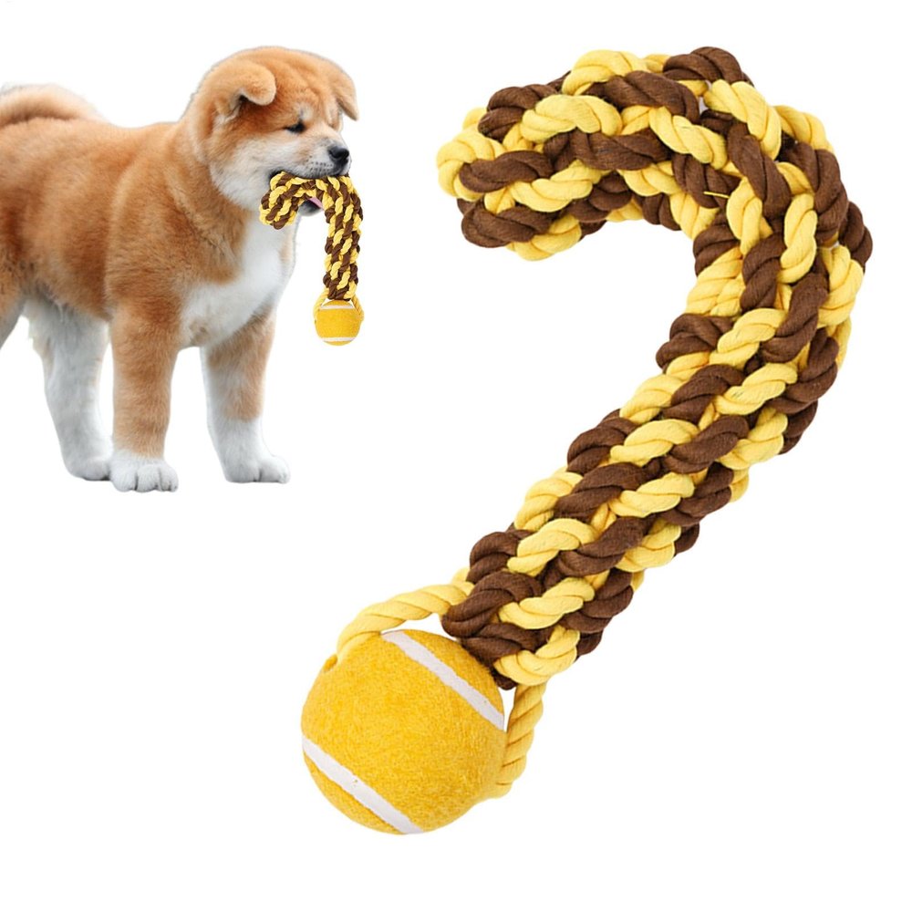 Dog Toy with Rope and Ball