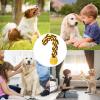 Dog Toy with Rope and Ball view 4
