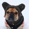 Dog Winter Hat with Ear Covers for Small and Medium Dogs view 2