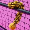Dog Training Ball Toy with Rope view 2