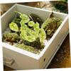 Sosoport Artificial Climbing Plant for Terrarium with ABS Suction Cups view 3