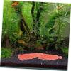 BESPORTBLE 10 Pack Cotton Spawning Mops for Aquariums view 3