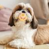 Cartoon Pacifier Chew Toy for Dogs view 3