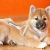 Pet Deshedding and Dematting Comb view 2