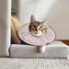 Soft Adjustable Recovery Cone for Cats and Small Dogs view 2