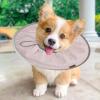 Soft Adjustable Recovery Cone for Cats and Small Dogs view 3
