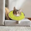 Soft Adjustable Recovery Cone for Cats and Small Dogs view 2