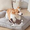 Hugsweet Squeaky Plush Dog Toy view 4
