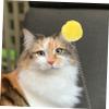 BESPORTBLE 6-Piece Cat Toy Set with Suction Cups view 4
