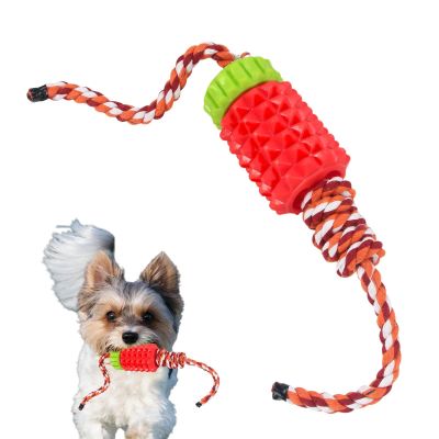Dog Treat Dispenser Toy