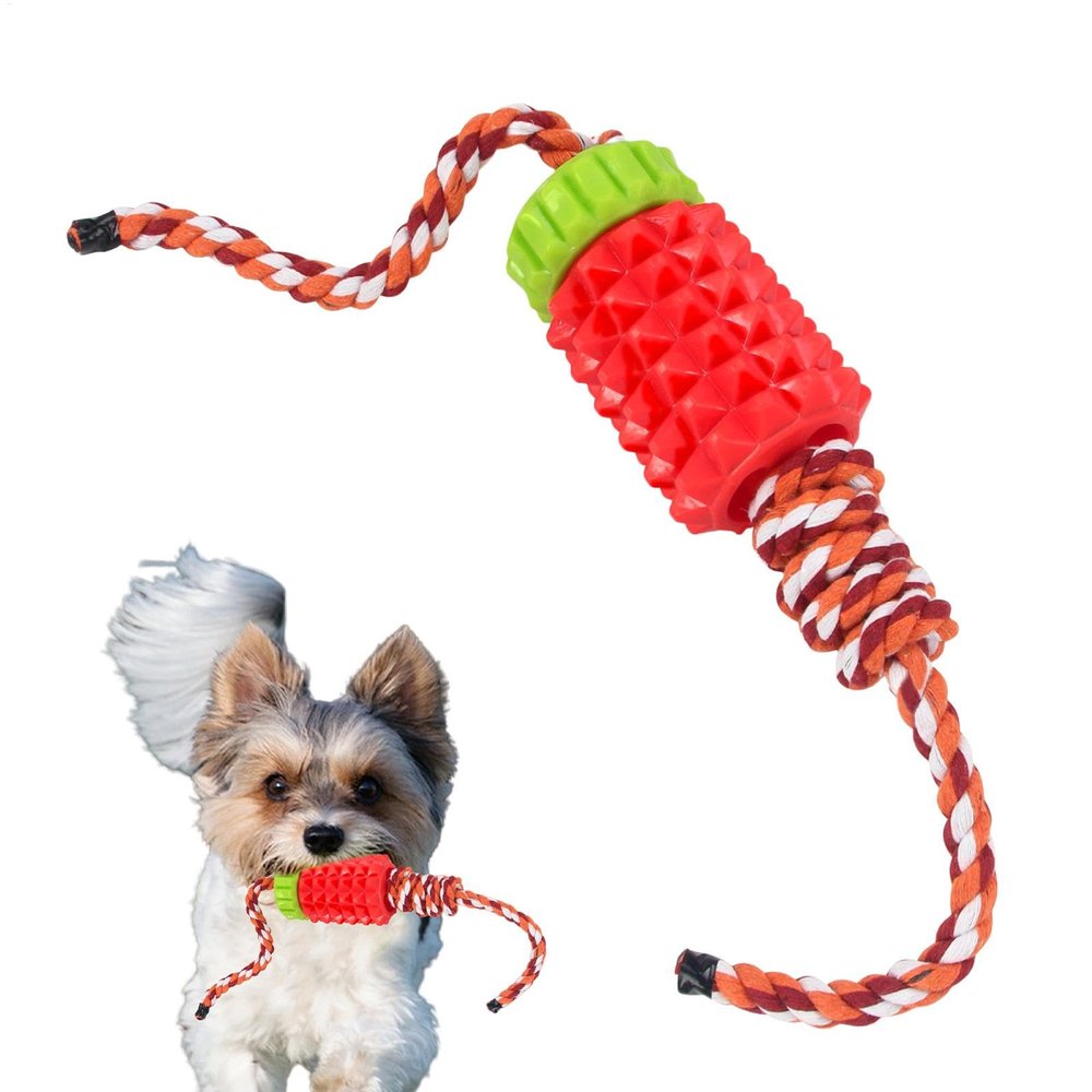 Dog Treat Dispenser Toy