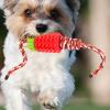 Dog Treat Dispenser Toy view 3