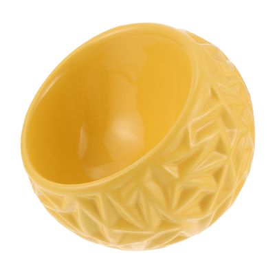 Sosoport Ceramic Cat Bowl with Stable Design