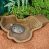 Turtle Water Basin with Ladder for Reptiles and Amphibians view 2