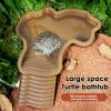 Turtle Water Basin with Ladder for Reptiles and Amphibians view 3