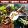 Turtle Water Basin with Ladder for Reptiles and Amphibians view 4