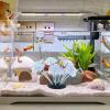 Artificial Coral for Aquariums view 2