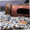 BESPORTBLE Natural Aquarium Decoration Shell view 3
