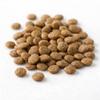 BentoKitty Salmon 1.5 kg Grain-Free High Premium Cat Dry Food view 2