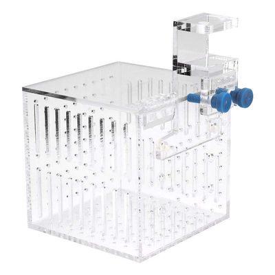 Transparent Acrylic Aquarium Isolation Box with Adjustable Height