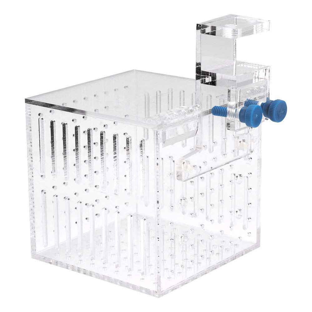 Transparent Acrylic Aquarium Isolation Box with Adjustable Height