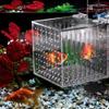 Transparent Acrylic Aquarium Isolation Box with Adjustable Height view 2