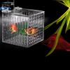 Transparent Acrylic Aquarium Isolation Box with Adjustable Height view 3