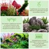 AquaOne Aquarium Plants - 3x Colorful Water Plants view 4