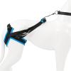 Eladcncmc Soft Dog Harness for Disabilities, Post-Surgery Recovery, and Mobility Assistance view 4