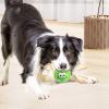Squeaky Latex Dog Toy Ball view 2
