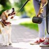 Dog Pooper Scooper with Handle view 2