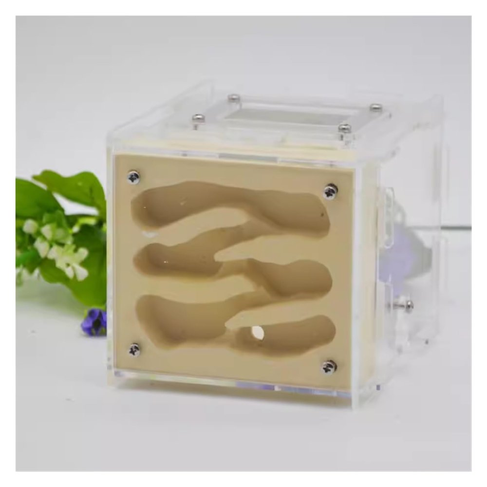 HYKJCSS DIY Acrylic Ant Farm Habitat with Feeding Area, Yellow
