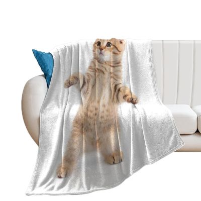 TradesForU Fleece Blanket for Cats