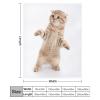 TradesForU Fleece Blanket for Cats view 2