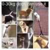 Retractable Dog Leash, Night-Reflective, Size M (4–7.5 kg), Color 3 view 4
