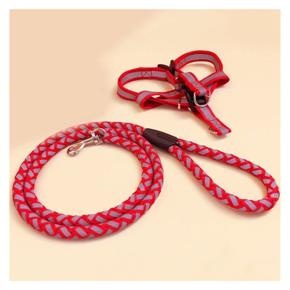 Retractable Reflective Dog Leash, Teddy, Color 3, Size M (4–7.5 kg)