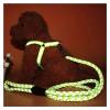 Retractable Reflective Dog Leash, Teddy, Color 3, Size M (4–7.5 kg) view 3