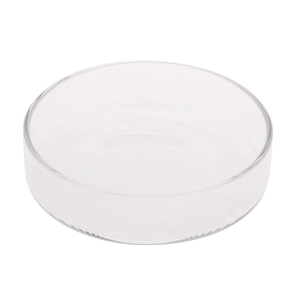 LLLmhuaa Fish Feeding Bowl for Aquatic Shrimp