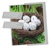 BUGUUYO 4-Pack Artificial Rattan Bird Nests view 2