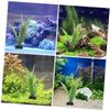 Hohopeti Tropical Aquarium Plants - 6 pcs view 4
