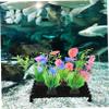 BUGUUYO 5-Pack PVC Aquarium Bottom Filter Plate with 20 Nails view 2
