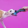 Interactive Rope Toy for Dogs view 2
