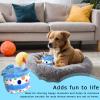 Jubepk Squeaky Dog Toy view 2
