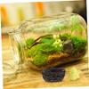 Happyyami 6 Decorative Bird Nests view 2