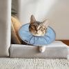 Soft Cat Cone, Dog Recovery Collar view 2