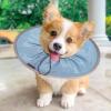 Soft Cat Cone, Dog Recovery Collar view 3